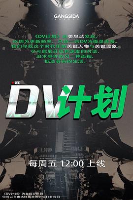 DV计划